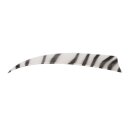 BP Feder 4" Shield zebra Zebra-weiß